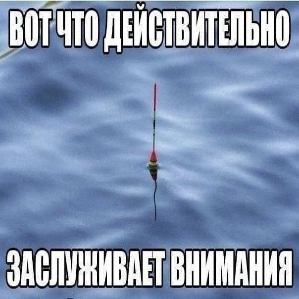 Утренняя подборочка