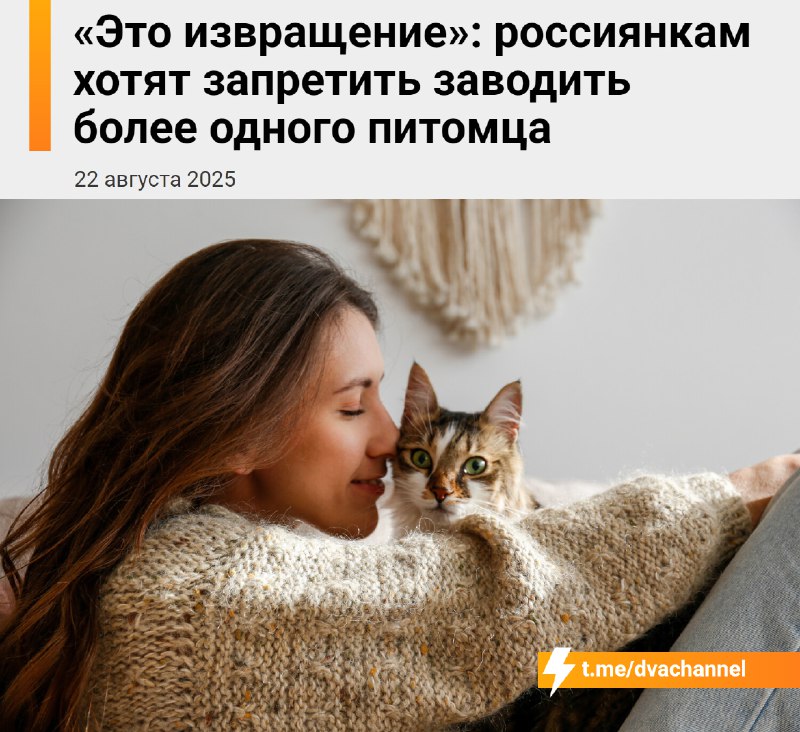 Российские женщины, у которых несколько кошек или собак — это извращенки с «поломанной психикой», ко