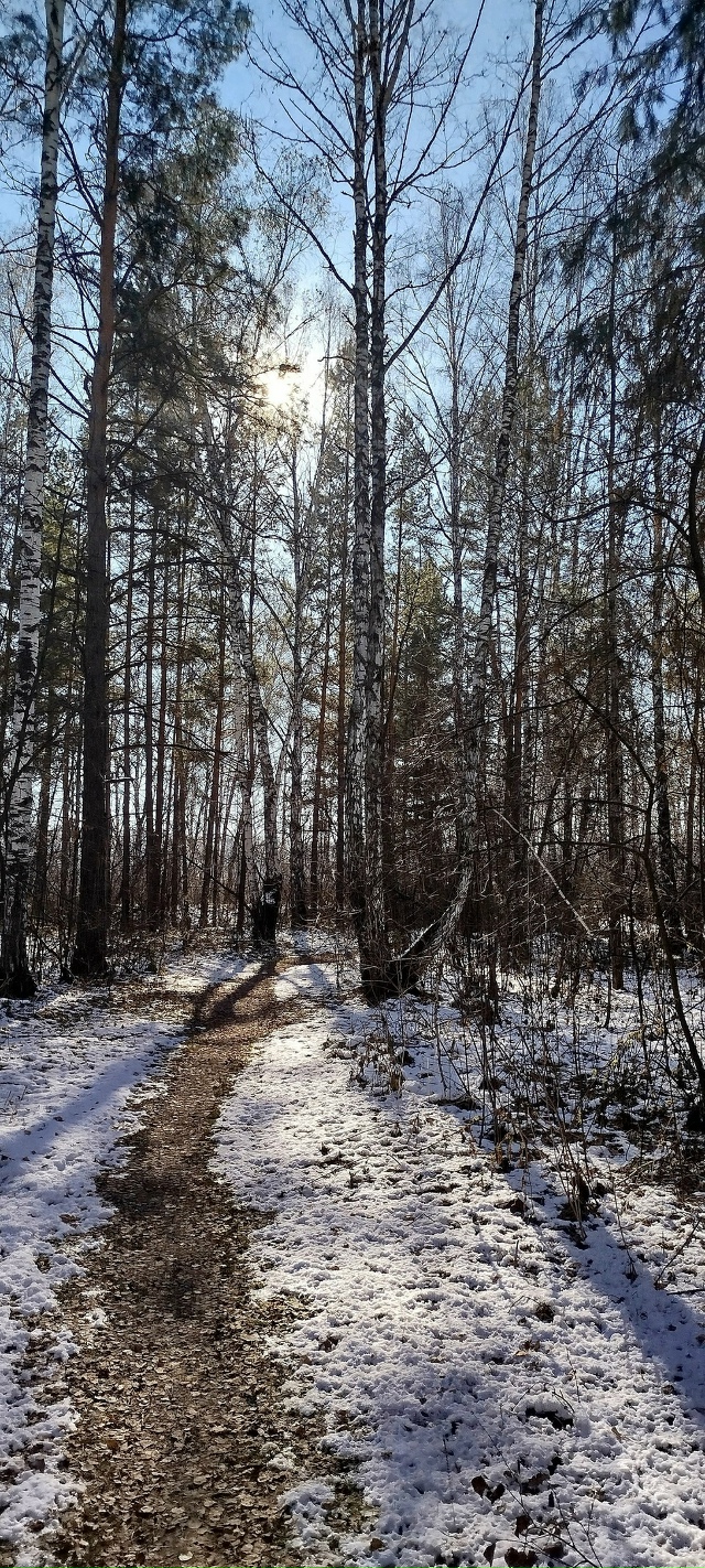 ✨ Утpo в лecу
Φoтo: Ингa Рaдугa