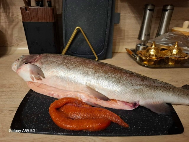 🔥 Свежие морепродукты с БЕСПЛАТНОЙ доставкой 13.12!
Без ...