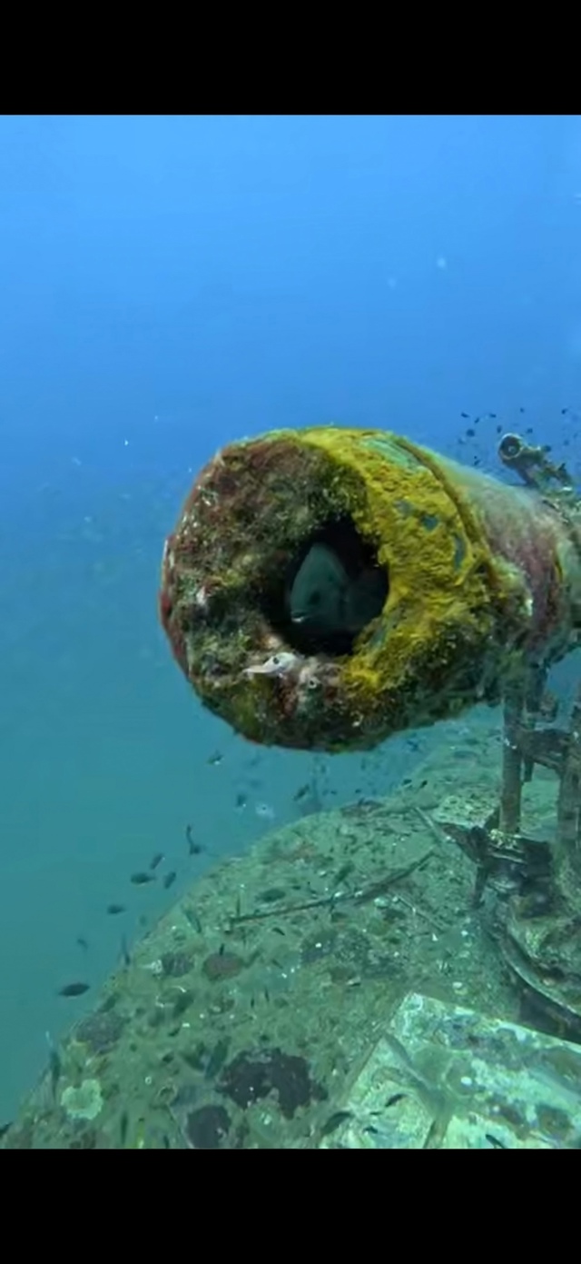 Ну не мусори здесь конечно, я же убираюсь