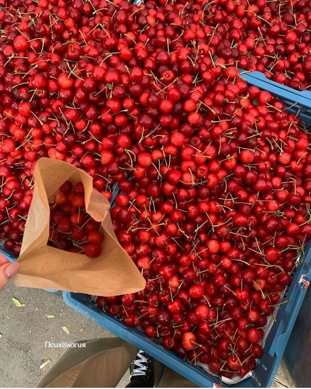 Вот почему лето моё любимое время года: