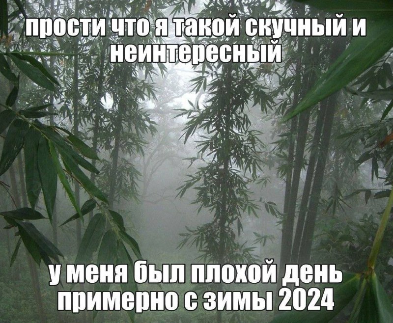 Утренняя подборочка