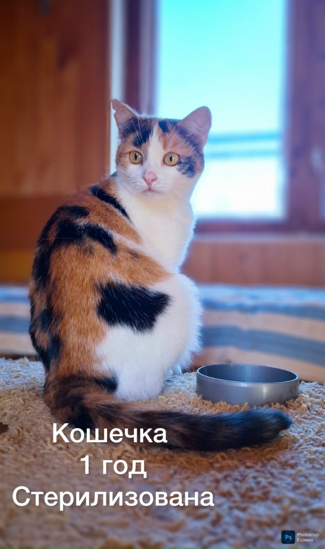 К ПРОЧТЕНИЮ КАЖДОМУ ЖИТЕЛЮ НАШЕГО ГОРОДА‼️
Забота о ?...