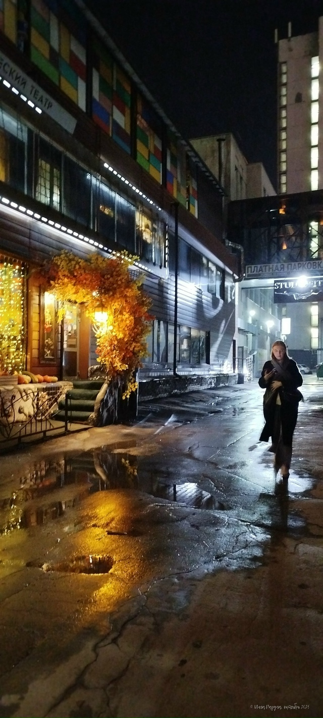 Дoбpoй нoчи, гopoд N!
Φoтo: Ингa Рaдугa