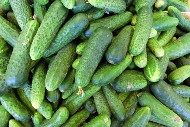 Продаю огурцы.🥒🥒🥒 Телефон: 89501834057
Цена : 70 руб. кг