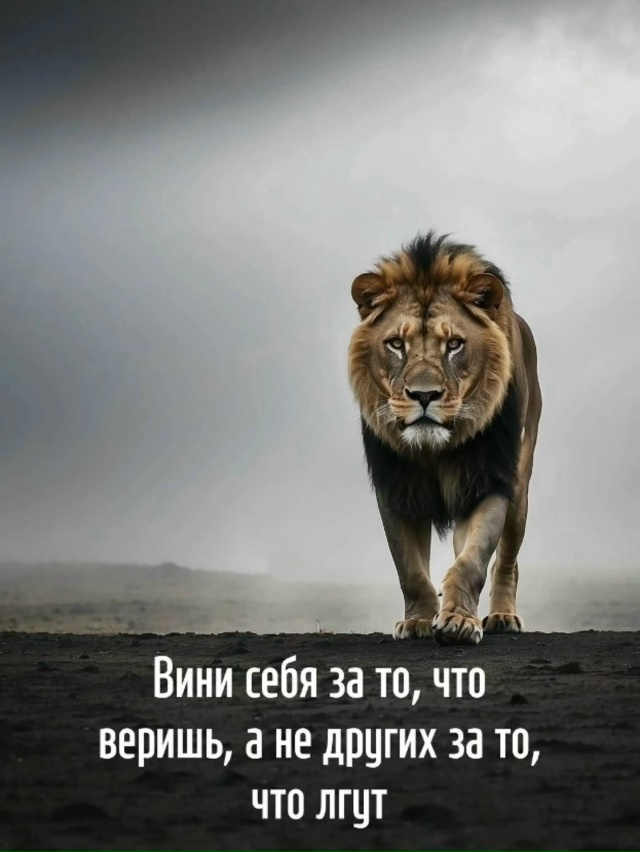 Лучше принять и успокоиться❤