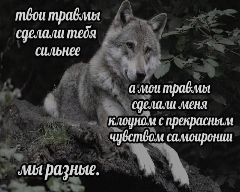 Ночная подборочка
Спать, режим