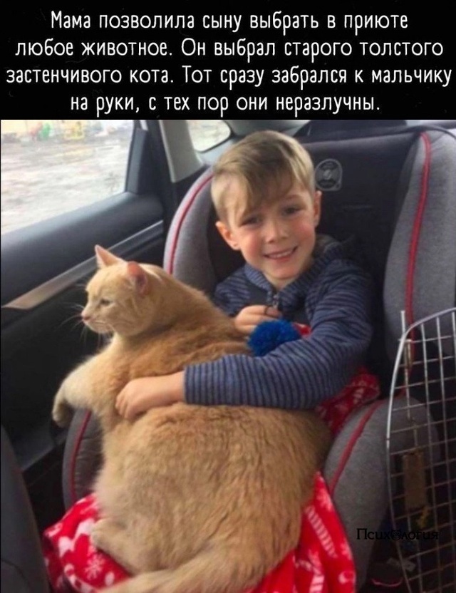 Вот как выглядит доброта👇🏼