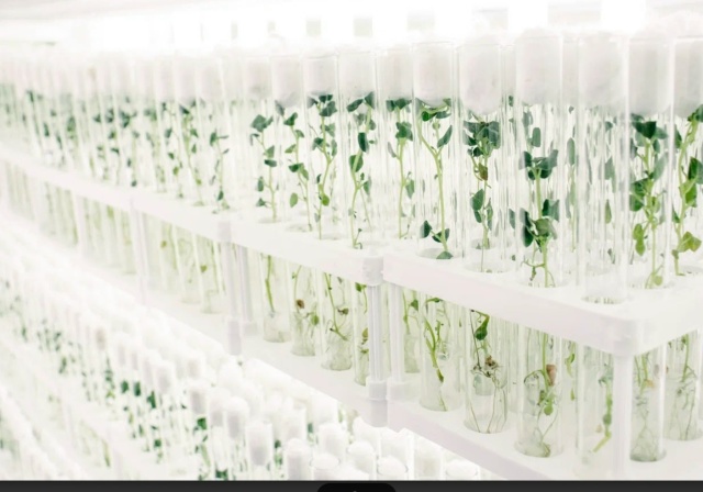 Наш тепличный комплекс ООО «Гарден Лаб» расширяется и ...