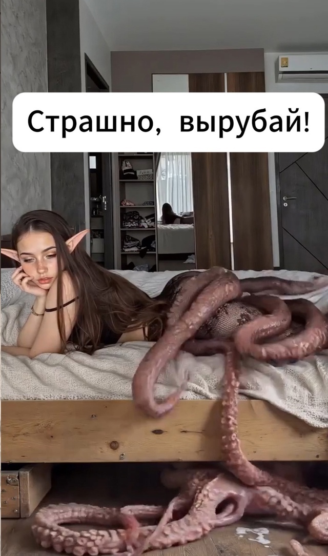 Что там вообще происходит?!