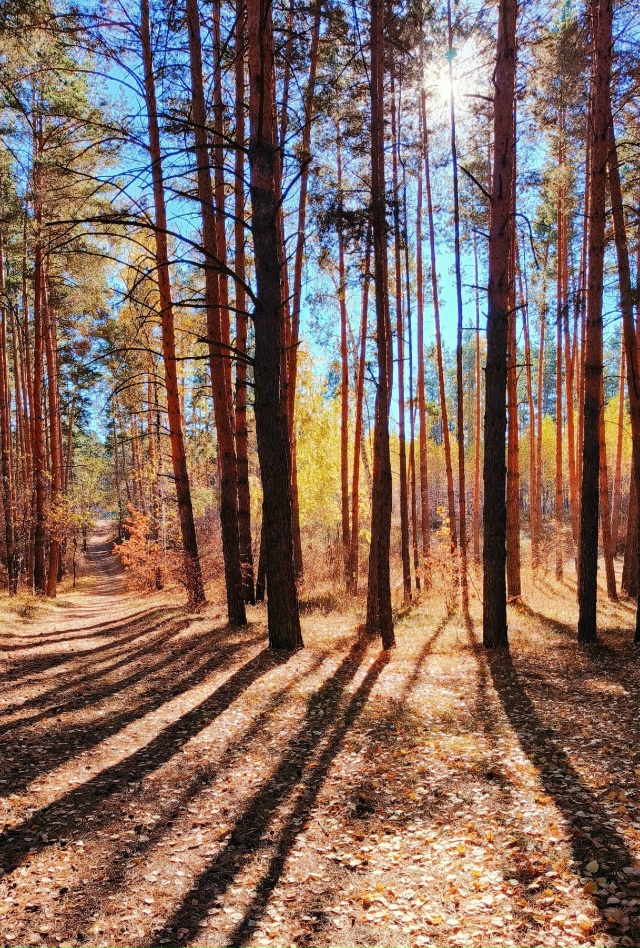 Доброй ночи, Никольск❤