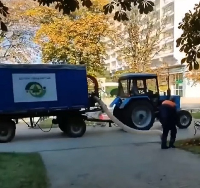 Интересно, почему у нас не могут убирать листву также к...