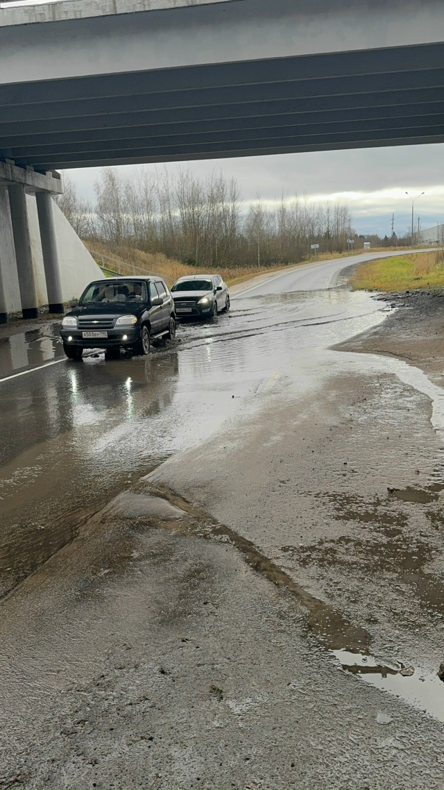 Года идут, контора пишет 🤔
Народ кричит, а власть не сл...