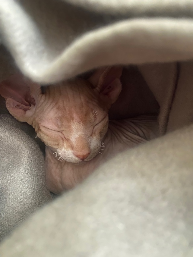 ?Мэджик ✨ Часть 1