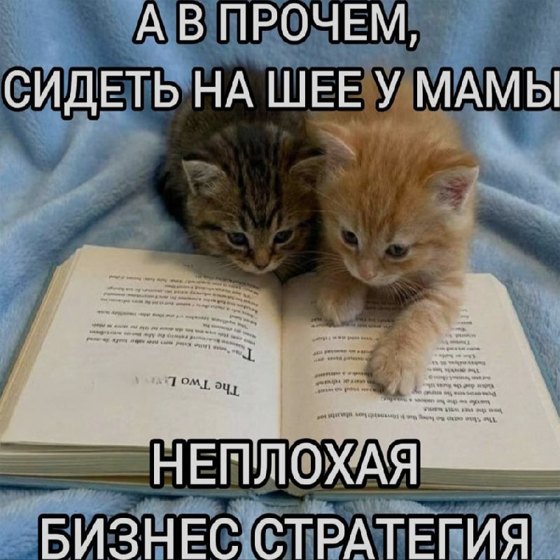 Ночная подборочка
Выходные, не спим