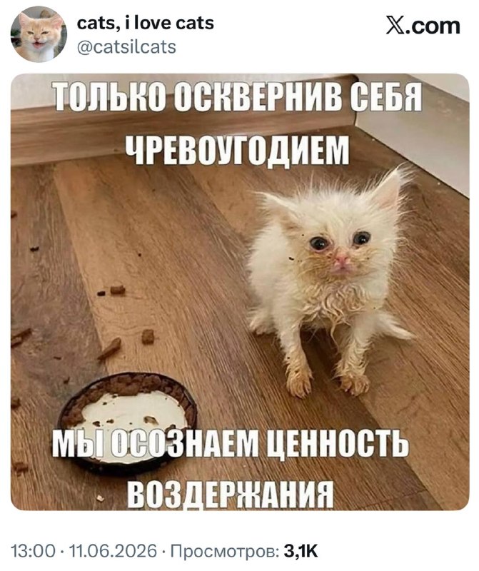 Придерживаемся только такого принципа 😋