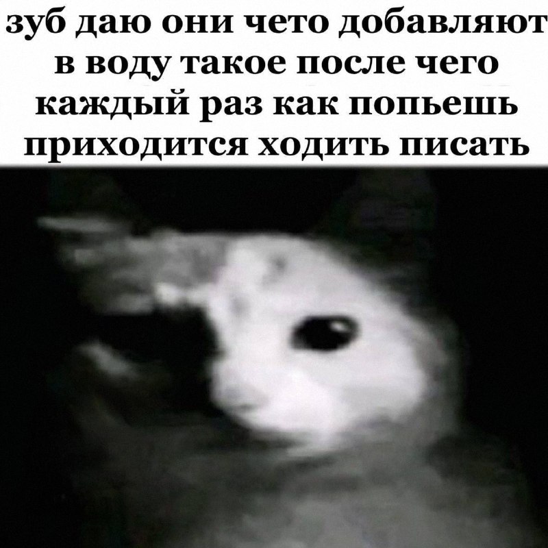 Утренняя подборочка