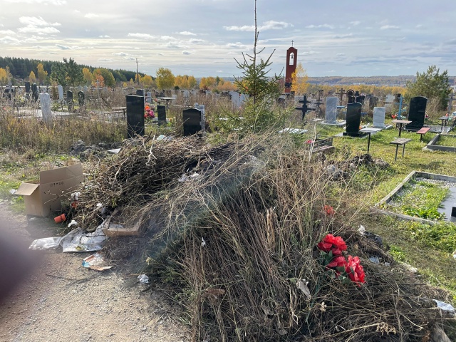 Люди, которые это сделали- Вы свиньи!!! Куча выросла за д...