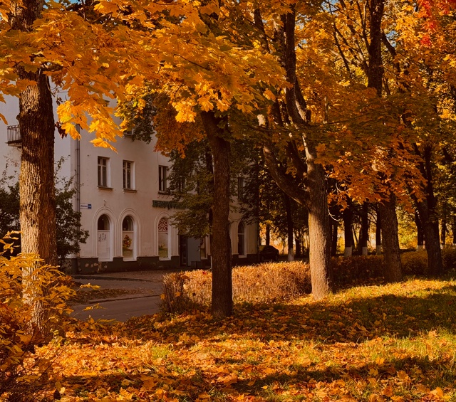Осень золотая🍁