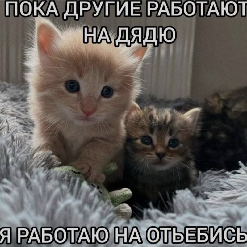 Ночная подборочка
Спать, режим