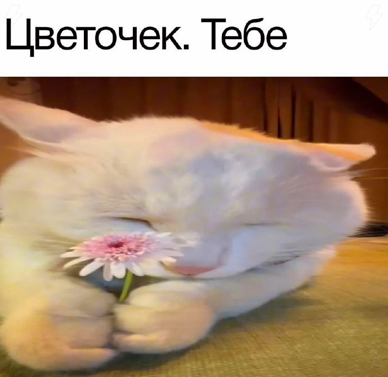 Утренняя подборочка