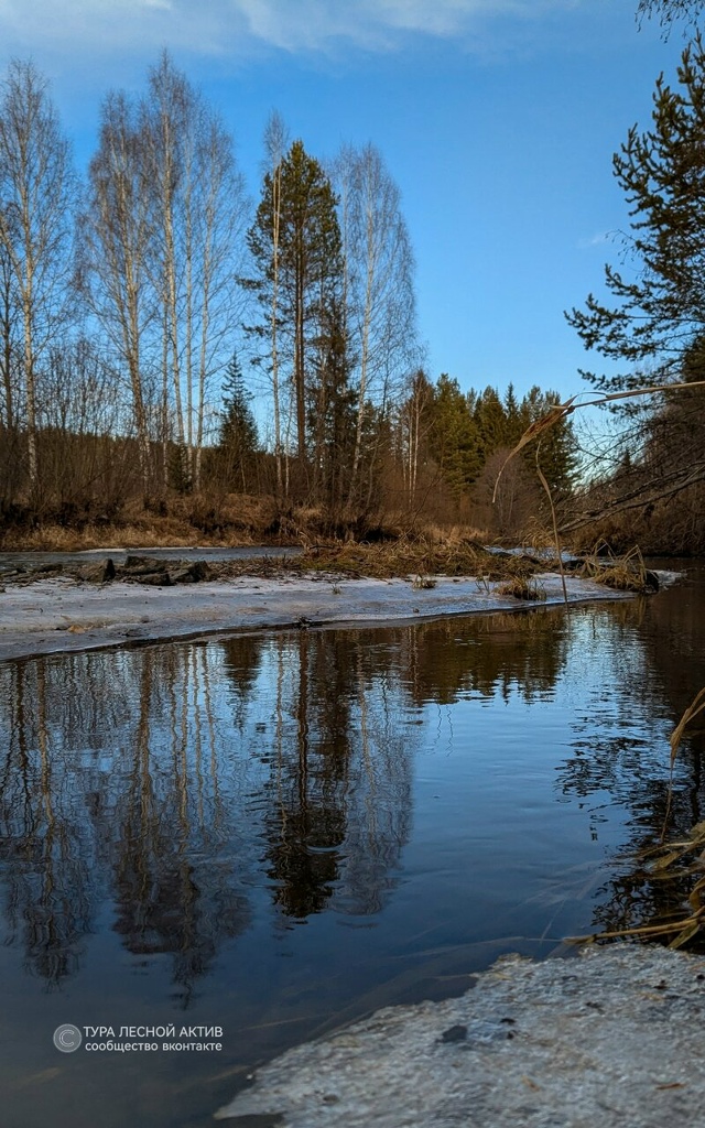 Ноябрь у реки Тура во всей эфемерной красоте.
Окрестно?...