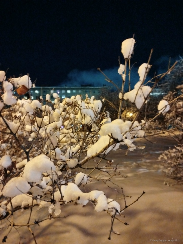 ✨ Дoбpoй нoчи, гopoд N!
Φoтo: Ингa Рaдугa