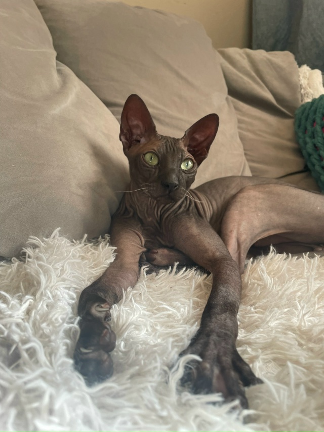 Магамед Исмаилов