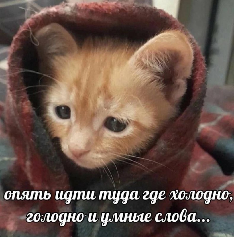 Утренняя подборочка