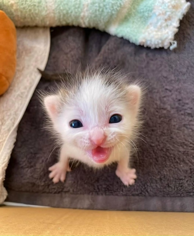 Объясните свою маленькость