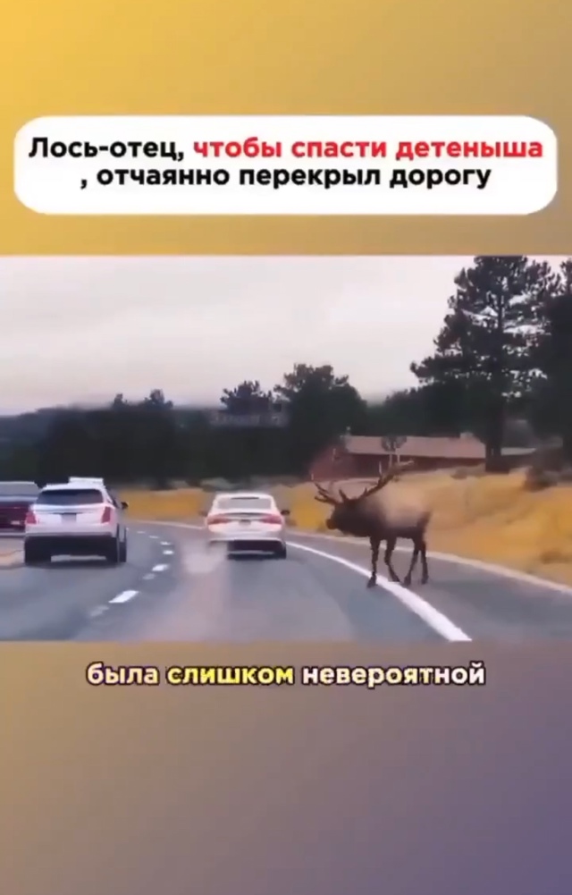 У каждого человека доброе сердце внутри.