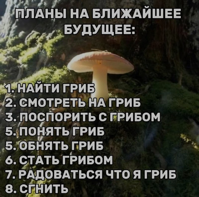 Ночная подборочка
Выходные, не спим