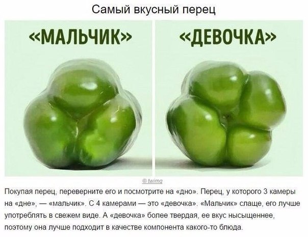 10 гениальных хитростей, которые сделают вас богом кули...