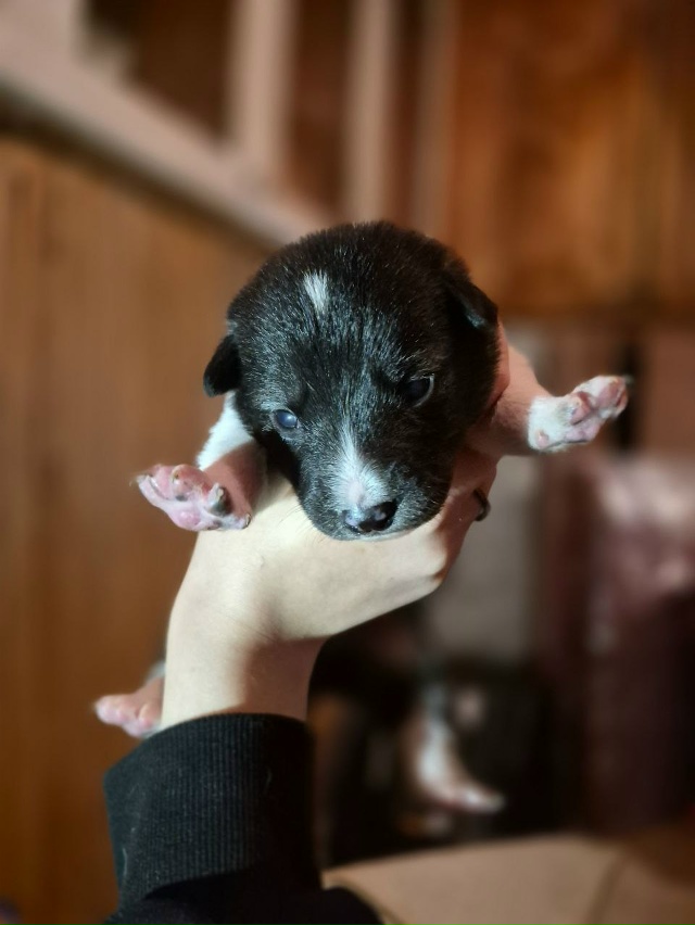 Ребята. Всем большой привет. Думаю, что многие видели п?...