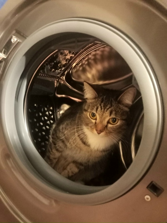 Я полетел на Марс🤣