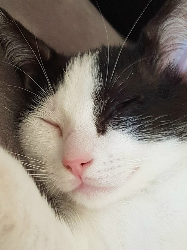 Утро — это такая часть суток, когда завидуешь безработ...