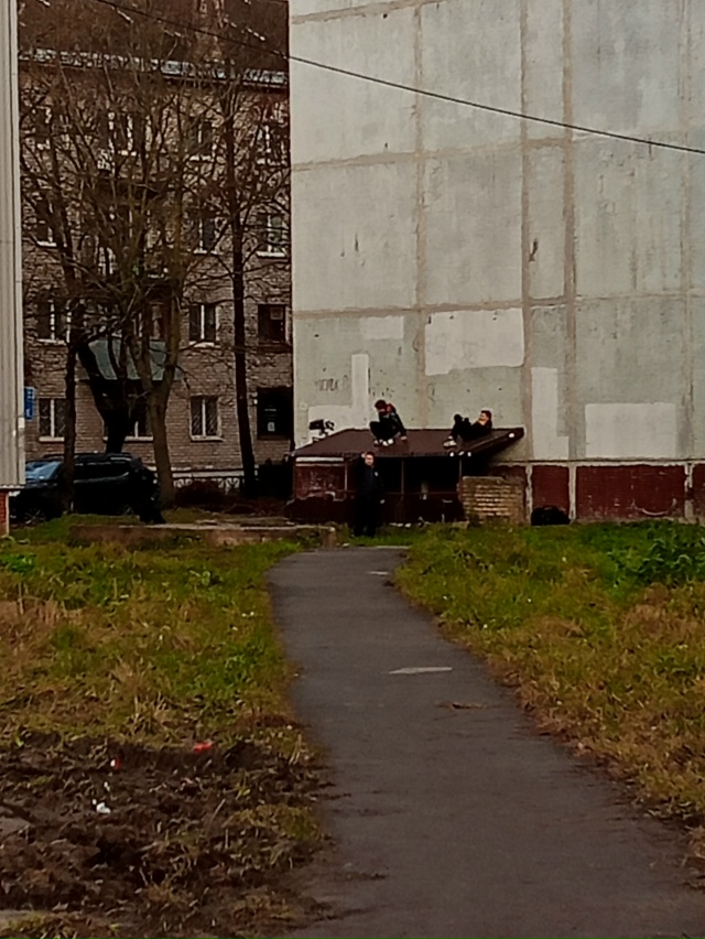 Родители научите не лазить по подвалом а потом из них в...