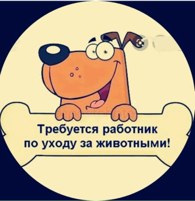 ‼️Требуется работник по уходу за животными‼️
Обяза?...