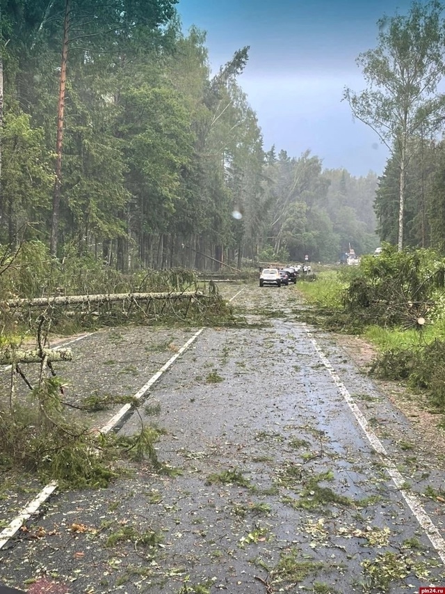 Последствия шторма в Псковской и Витебской областях
Ф...