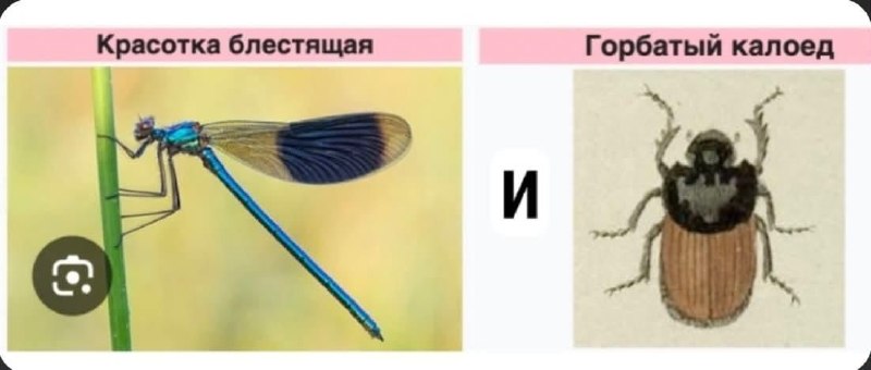 «Да нормально мы смотримся»
Также она с ним: