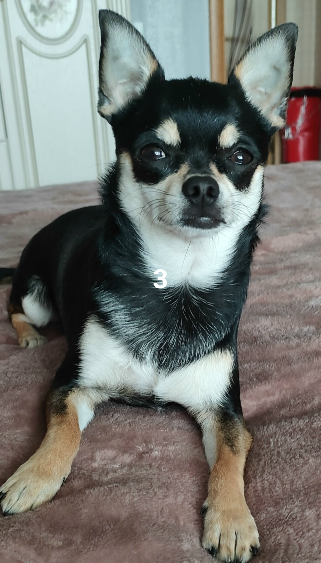 #ПотерялиНашлиПомогите
1 потеряли банковскую карту в ...