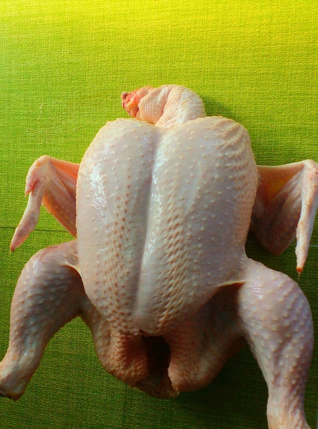 ИПС Белокатайская реализует:
?Гусей (в наличии 31дн се?...