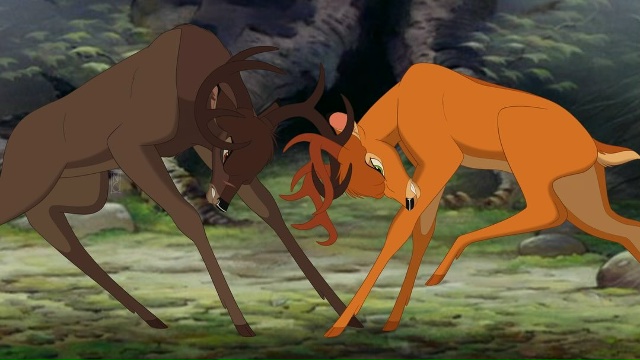 «Забэмбиченные» Коготь и Огнегрив, сходящиеся в бою 💥...