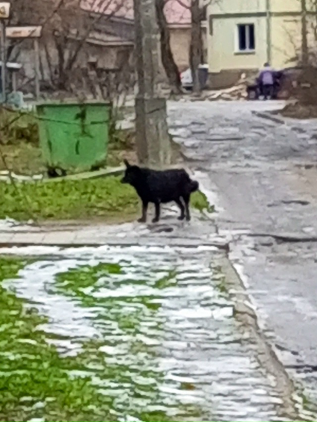 Всем привет, кто живет на спортивной давайте писать за?...
