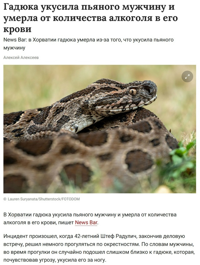 😅 Гадюка умерла после укуса пьяного туриста — алкого?...