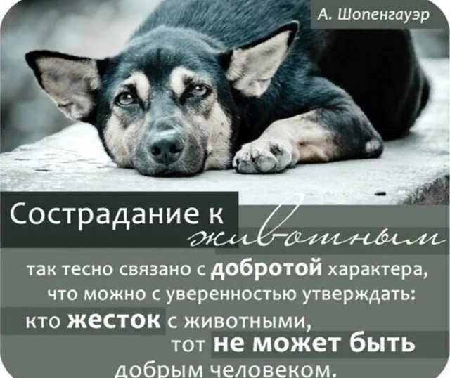 🆘🆘🆘🆘🆘🆘🆘🆘🆘🆘
. НАМ СРОЧНО НУЖНА ВАША ПОМОЩЬ
. ...