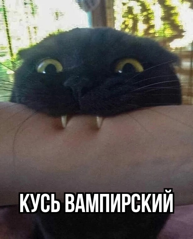 Последний надо назвать: наркоманский кусь