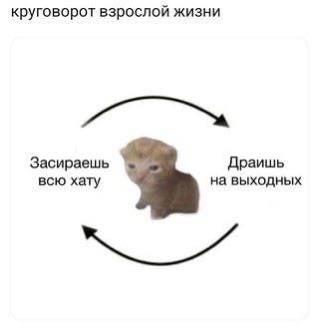 Утренняя подборочка