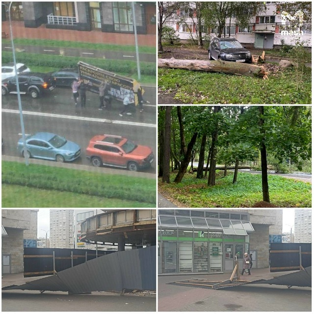 ? 17 деревьев упало сегодня в Петербурге из-за циклона ...